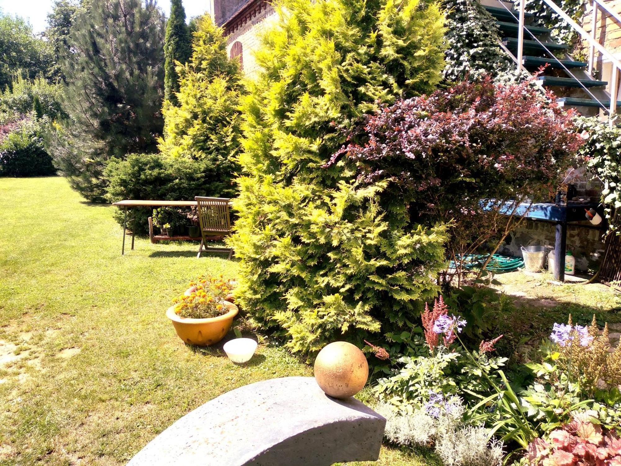 Apartamento Dom Sztuk - House Of Arts Międzyrzecz Exterior foto